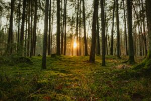 Comment gérer la peur du changement ? comment gérer la peur du changement